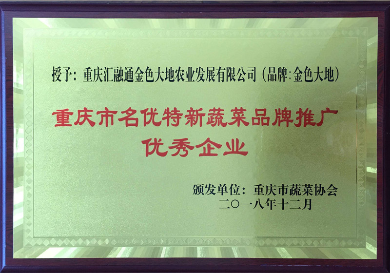 榮譽(yù)資質(zhì)